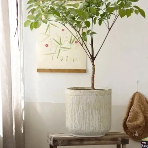Pot de fleur en ciment résistant et décoratif