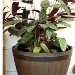 Gros pot de fleur en plastique durable