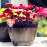 Pot de fleur en plastique pour jardinage intérieur