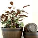 Grand pot de fleur pour aménagement paysager