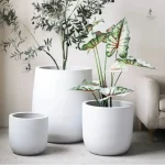 Gros pot de fleur intérieur élégant pour décoration
