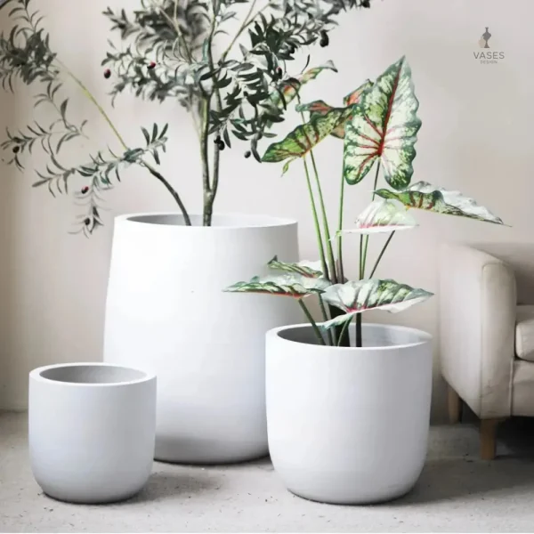 Gros pot de fleur intérieur élégant pour décoration
