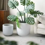 Grand récipient pour plantes d'intérieur luxuriantes