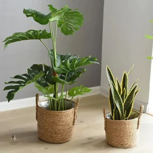 Gros pot de fleur économique