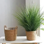 Gros pot pour plantes à petit prix
