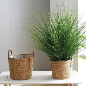 Gros pot pour plantes à petit prix