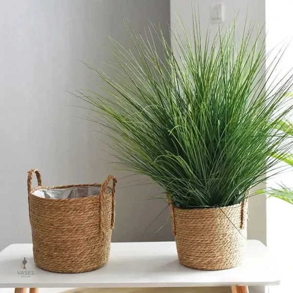Gros pot pour plantes à petit prix