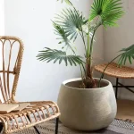 Vaste pot rond pour plantes de grande taille