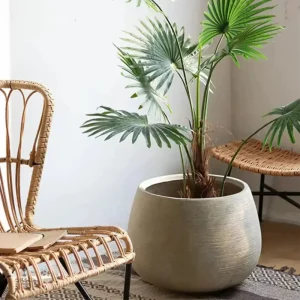 Vaste pot rond pour plantes de grande taille