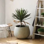 Gros pot rond idéal pour fleurs et plantes