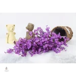 Gypsophile décorative pour mariage et fêtes