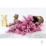 Fleurs gypsophile pour embellir un espace