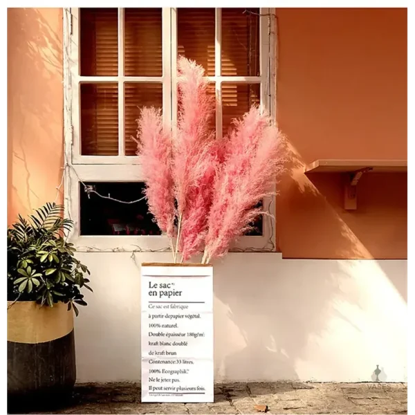 Brins d'herbe de la pampa rose pour aménagement extérieur