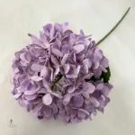 Hortensia décoratif pour intérieur moderne