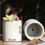 Pot de fleur compact parfait pour les bureaux et étagères