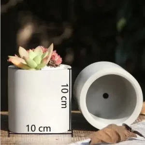 Pot de fleur compact parfait pour les bureaux et étagères