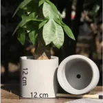 Pot de fleur miniature pour espaces réduits et déco
