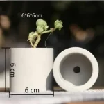 Petit pot à fleurs tendance pour une touche naturelle