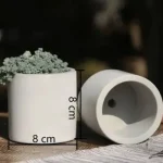 Accessoire de jardinage : mini pot de fleur pour plantes vertes
