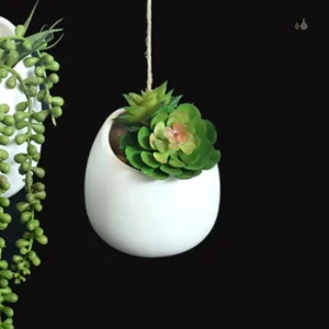 Mini pot de fleur suspendu pour décorer votre intérieur