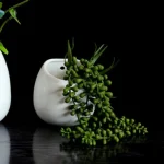 Petit pot à suspendre, idéal pour les plantes d'intérieur