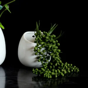 Petit pot à suspendre, idéal pour les plantes d'intérieur