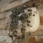 Mini pot à suspendre, parfait pour vos plantes favorites