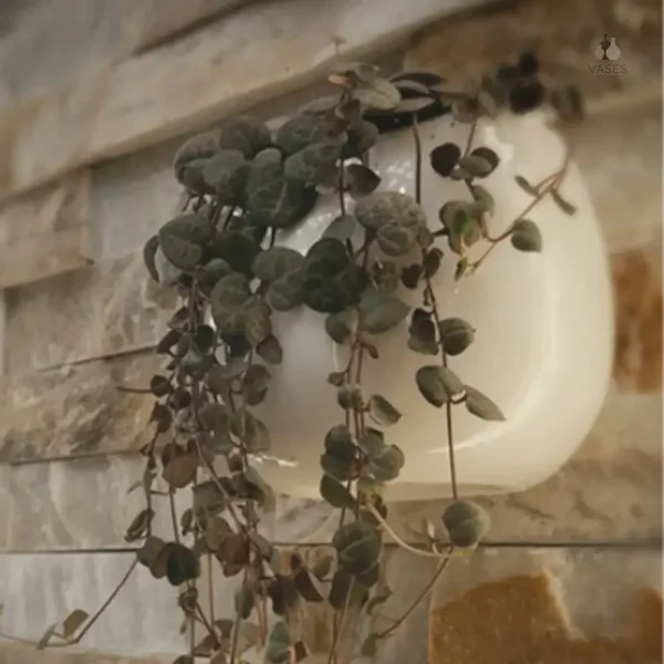 Mini pot à suspendre, parfait pour vos plantes favorites