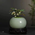 Petit pot rond en céramique pour plantes
