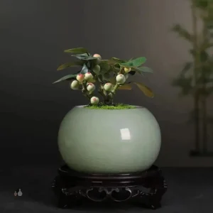 Petit pot rond en céramique pour plantes
