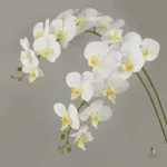 Fleurs artificielles d'orchidée pour décoration intérieure