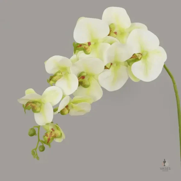 Fleurs d'orchidée artificielle, option sans entretien