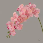 Orchidée décorative artificielle, style contemporain pour intérieur