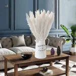 Herbe de la pampa Pampa blanc en pot décoratif