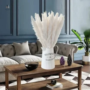 Herbe de la pampa Pampa blanc en pot décoratif