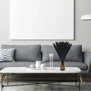 Pampa noire, herbe décorative pour jardin
