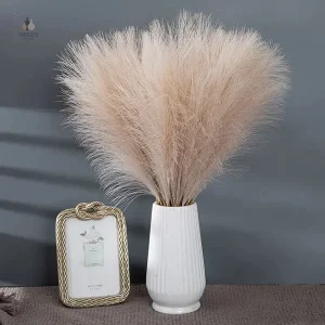 Herbe de la pampa pas chère