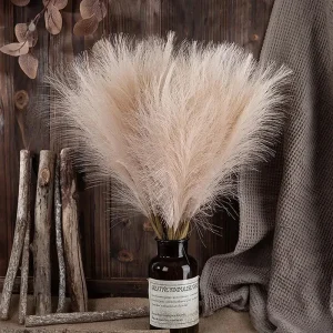 Pampa économique pour décoration extérieure