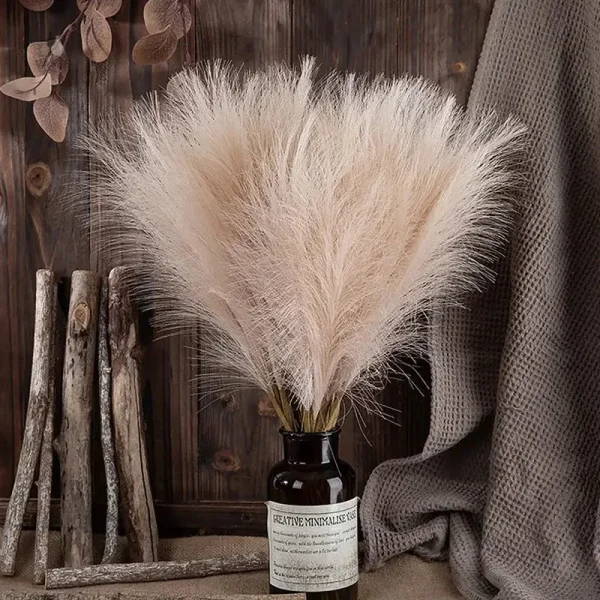 Pampa économique pour décoration extérieure