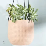 Petit pot floral à accrocher facilement