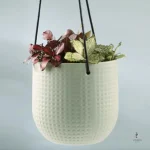 Vase suspendu pour plantes d'intérieur