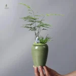 Pot de fleur céramique design élégant pour intérieur