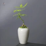 Petit contenant en céramique pour plantes d'intérieur