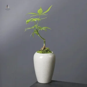 Petit contenant en céramique pour plantes d'intérieur