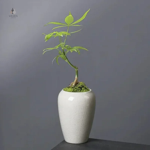 Petit contenant en céramique pour plantes d'intérieur