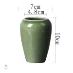 Petit pot décoratif pour plantes succulentes