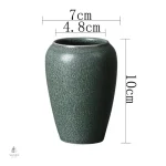 Pot de fleur céramique idéal pour bureau ou maison