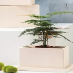 Pot de fleur rectangulaire pour intérieur moderne