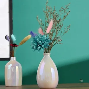 Vase coloré au design moderne et élégant