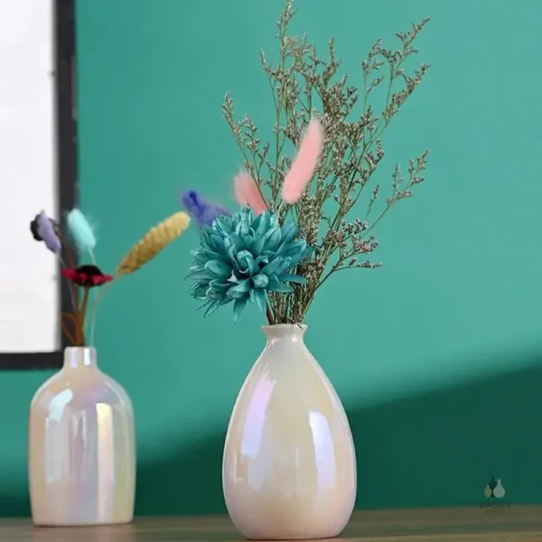 Vase coloré au design moderne et élégant